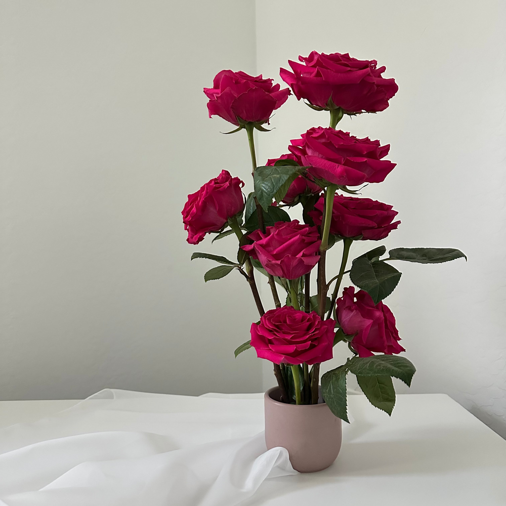 Lily (dozen stems)