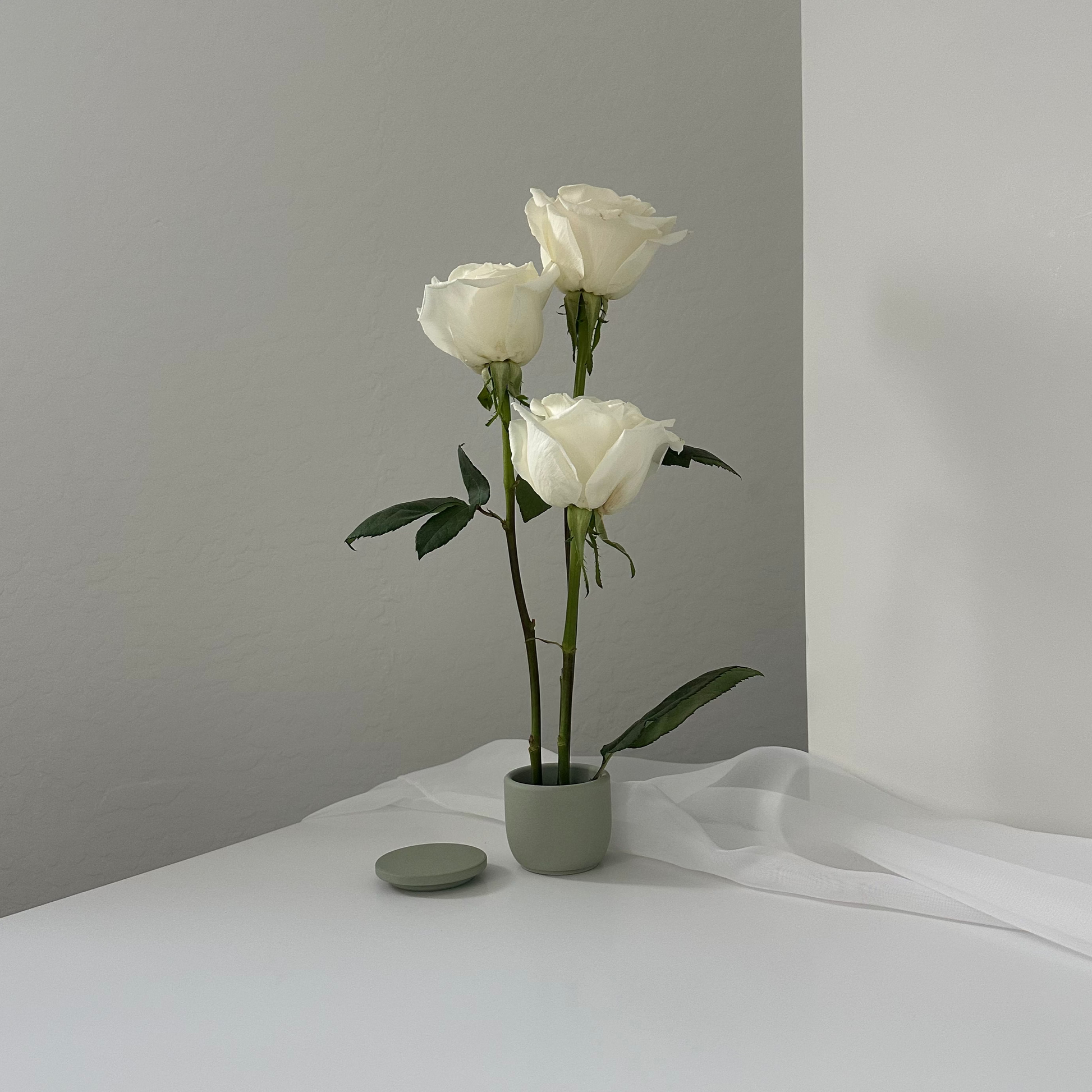 Rose (half dozen stems)