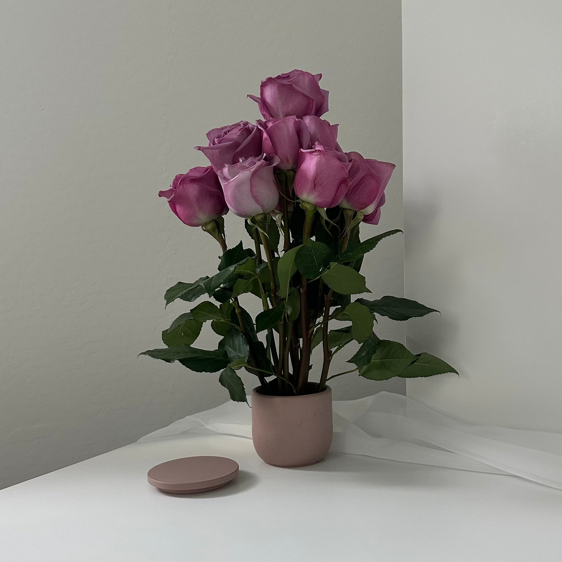 Lily (dozen stems)