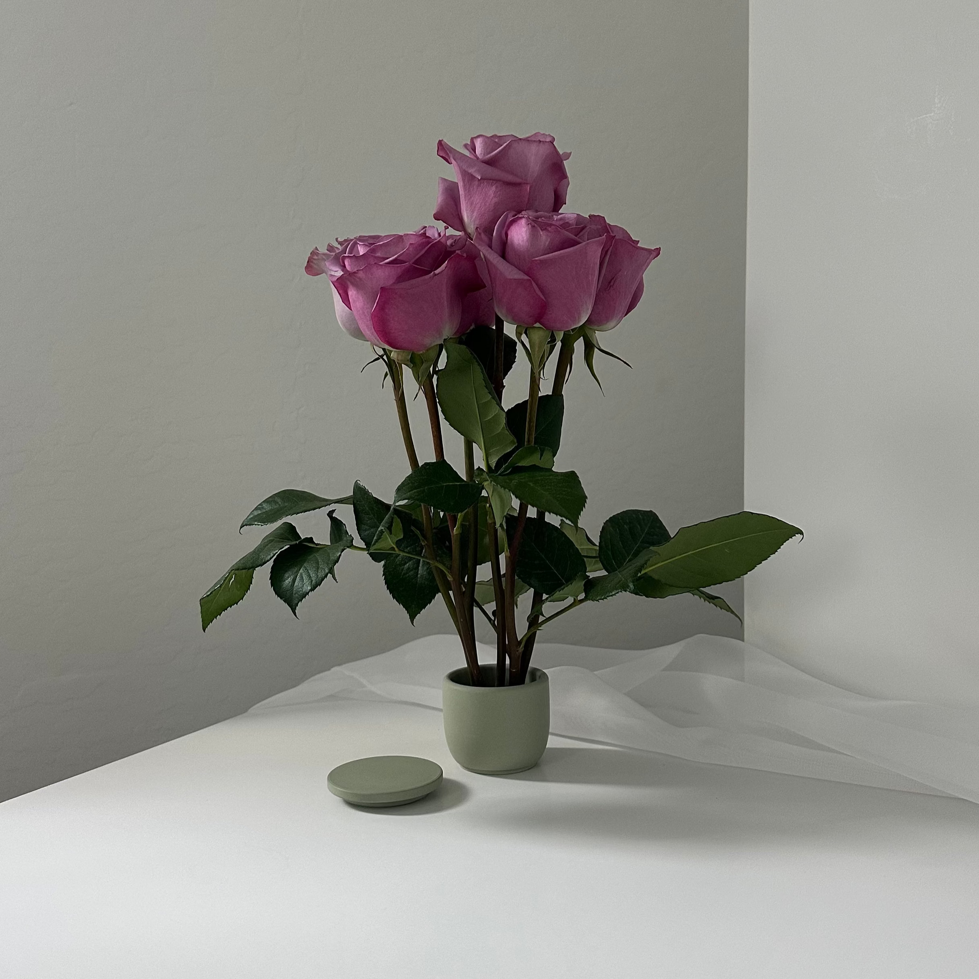 Rose (half dozen stems)