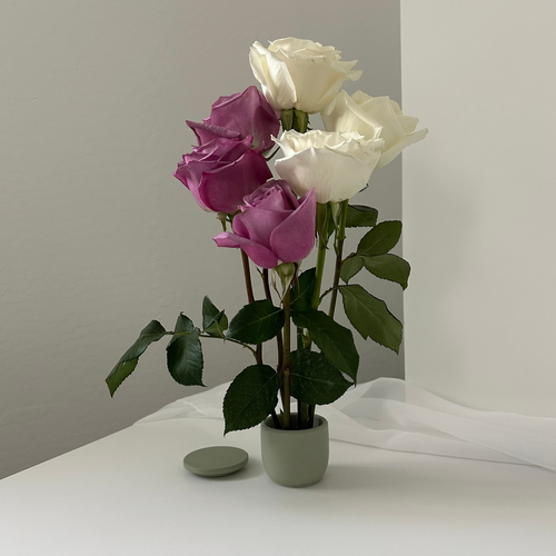 Rose (half dozen stems)
