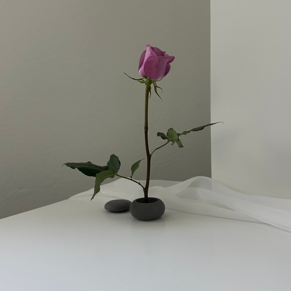 Daisy (single stem)