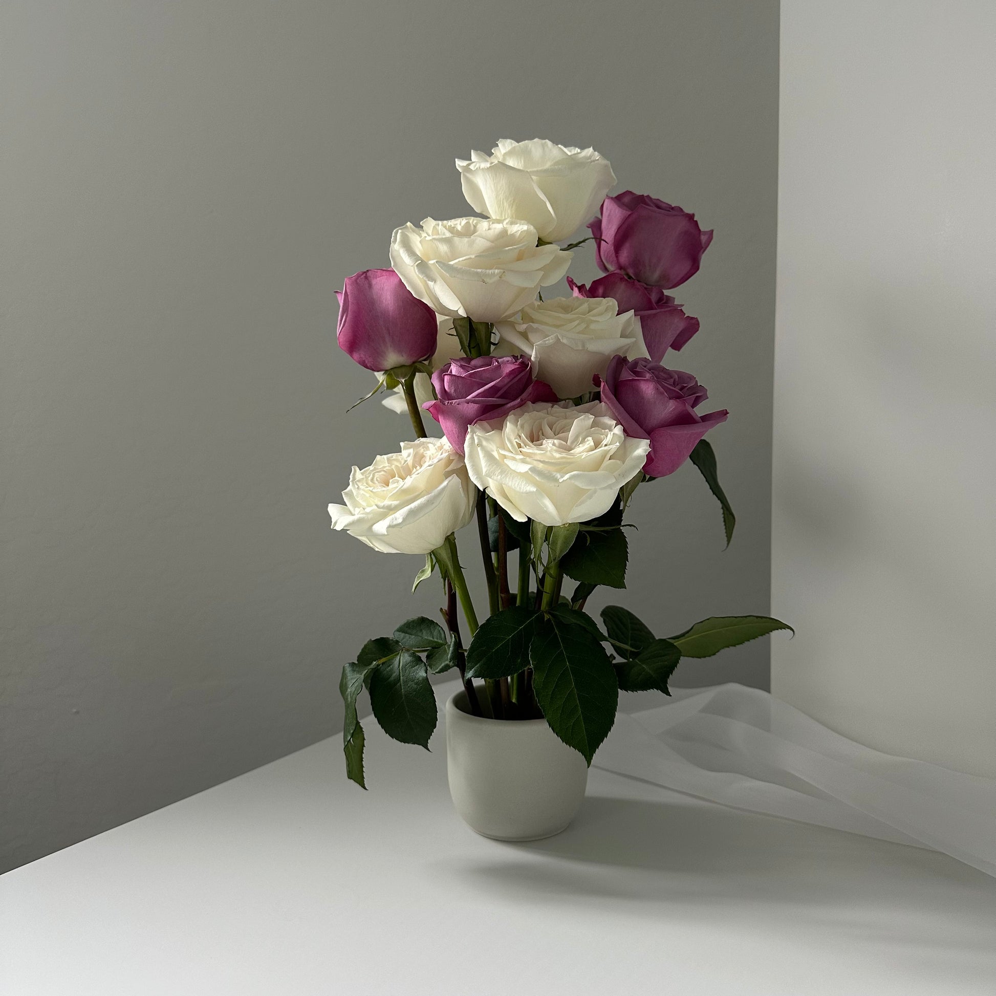Lily (dozen stems)