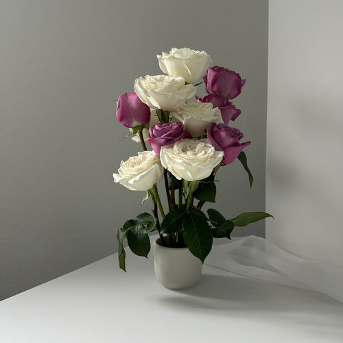 Lily (dozen stems)